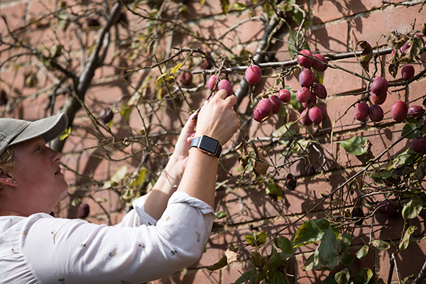 Ten Things We Love About ‘Northumbrian Chutney’