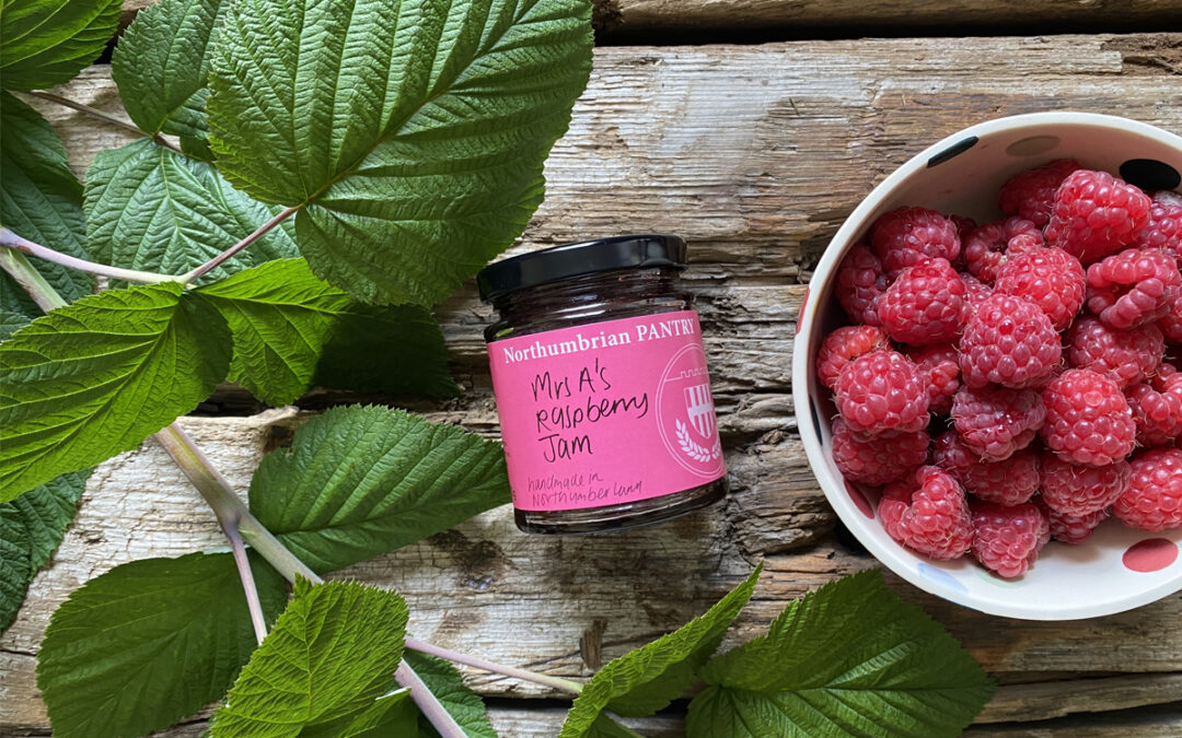 Pantry Ingredient – Fun Facts on Raspberries