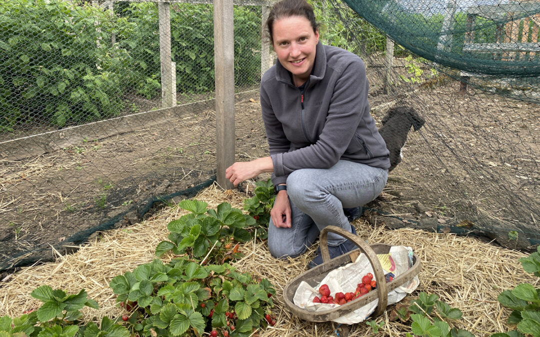 Everything we love about Strawberries